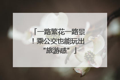 一路繁花一路景！乘公交也能玩出“旅游感”