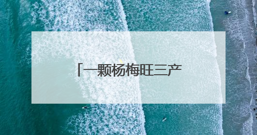 一颗杨梅旺三产，钟祥长滩四季采摘带给游客“舌尖上的惊喜”