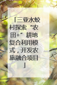 三亚水蛟村探索“农田+”耕地复合利用模式，开发农旅融合项目
