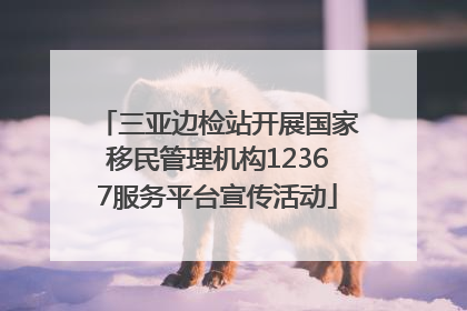 三亚边检站开展国家移民管理机构12367服务平台宣传活动