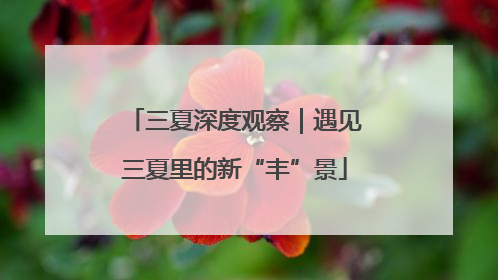三夏深度观察｜遇见三夏里的新“丰”景