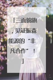 三面锦旗，见证振森能源的“非凡合作”！