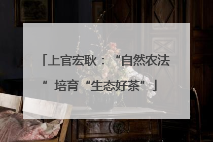 上官宏耿：“自然农法”培育“生态好茶”
