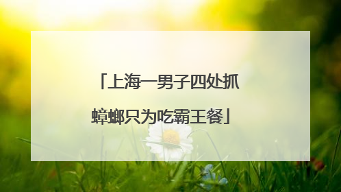 上海一男子四处抓蟑螂只为吃霸王餐