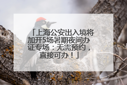 上海公安出入境将加开5场暑期夜间办证专场：无需预约，直接可办！