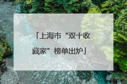 上海市“双十收藏家”榜单出炉