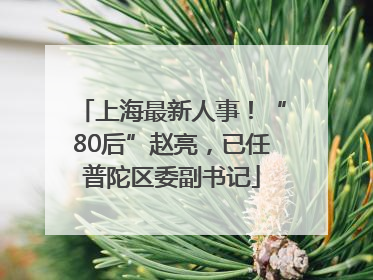 上海最新人事！“80后”赵亮，已任普陀区委副书记