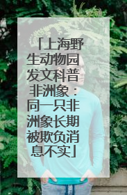 上海野生动物园发文科普非洲象：同一只非洲象长期被欺负消息不实