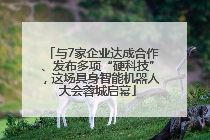 与7家企业达成合作、发布多项“硬科技”，这场具身智能机器人大会蓉城启幕