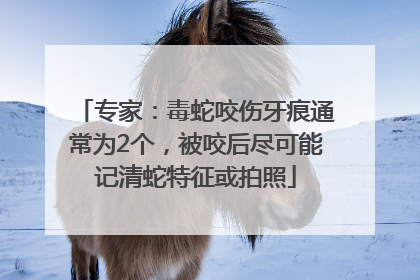 专家：毒蛇咬伤牙痕通常为2个，被咬后尽可能记清蛇特征或拍照