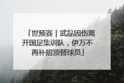 世预赛｜武磊因伤离开国足集训队，伊万不再补招顶替球员