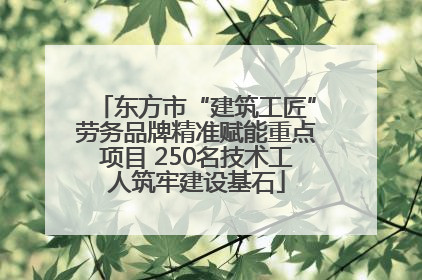 东方市“建筑工匠”劳务品牌精准赋能重点项目 250名技术工人筑牢建设基石