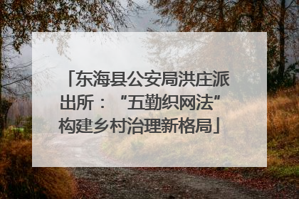 东海县公安局洪庄派出所：“五勤织网法”构建乡村治理新格局
