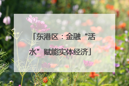 东港区：金融“活水”赋能实体经济