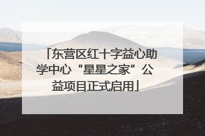 东营区红十字益心助学中心“星星之家”公益项目正式启用