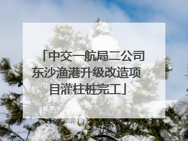 中交一航局二公司东沙渔港升级改造项目灌柱桩完工