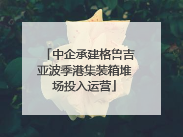 中企承建格鲁吉亚波季港集装箱堆场投入运营