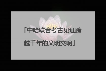 中哈联合考古见证跨越千年的文明交响
