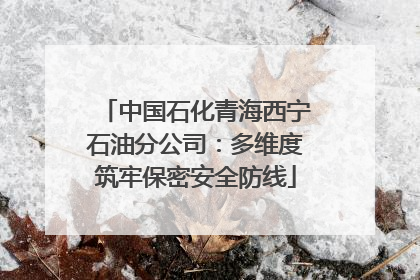 中国石化青海西宁石油分公司：多维度筑牢保密安全防线