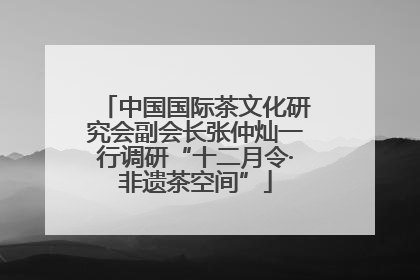 中国国际茶文化研究会副会长张仲灿一行调研“十二月令·非遗茶空间”