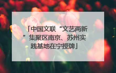 中国文联“文艺两新”集聚区南京、苏州实践基地在宁授牌