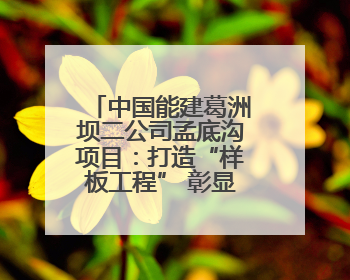 中国能建葛洲坝二公司孟底沟项目：打造“样板工程” 彰显“水电王牌”