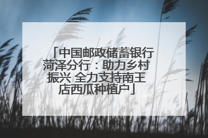中国邮政储蓄银行菏泽分行：助力乡村振兴 全力支持南王店西瓜种植户