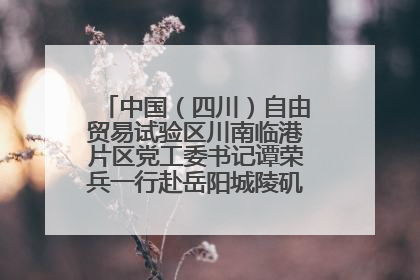 中国（四川）自由贸易试验区川南临港片区党工委书记谭荣兵一行赴岳阳城陵矶综保区考察