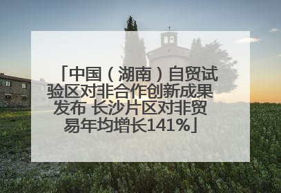 中国（湖南）自贸试验区对非合作创新成果发布 长沙片区对非贸易年均增长141%