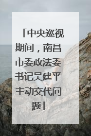 中央巡视期间，南昌市委政法委书记吴建平主动交代问题