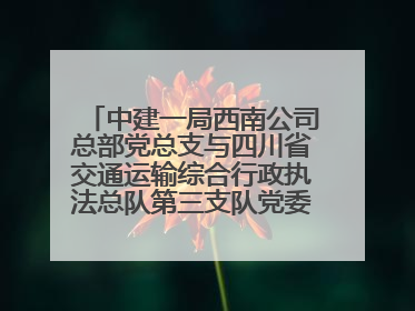 中建一局西南公司总部党总支与四川省交通运输综合行政执法总队第三支队党委、万源市草坝镇莲花院村党支部开展党建联建