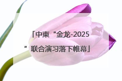 中柬“金龙-2025”联合演习落下帷幕
