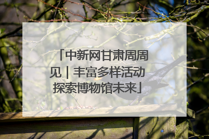 中新网甘肃周周见｜丰富多样活动探索博物馆未来
