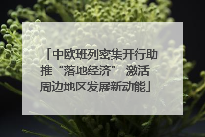 中欧班列密集开行助推“落地经济” 激活周边地区发展新动能