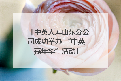 中英人寿山东分公司成功举办 “中英嘉年华”活动