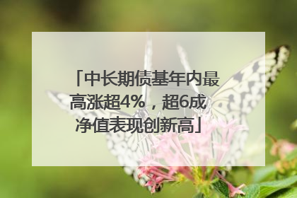 中长期债基年内最高涨超4%，超6成净值表现创新高