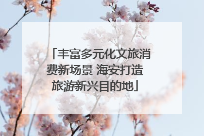 丰富多元化文旅消费新场景 海安打造旅游新兴目的地
