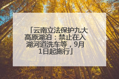 云南立法保护九大高原湖泊：禁止在入湖河道洗车等，9月1日起施行