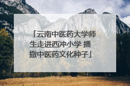 云南中医药大学师生走进西冲小学 播撒中医药文化种子