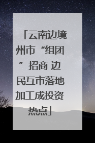 云南边境州市“组团”招商 边民互市落地加工成投资热点