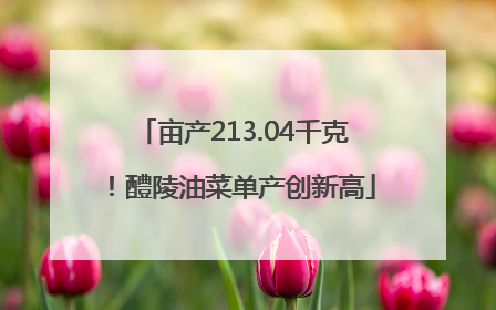 亩产213.04千克！醴陵油菜单产创新高
