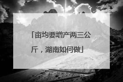亩均要增产两三公斤，湖南如何做