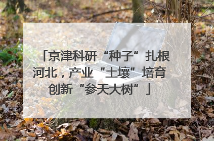 京津科研“种子”扎根河北，产业“土壤”培育创新“参天大树”