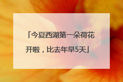 今夏西湖第一朵荷花开啦，比去年早5天