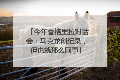今年香格里拉对话会：马克龙创纪录，但也就那么回事