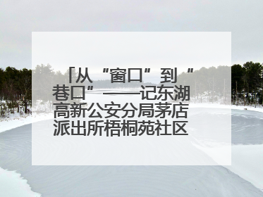 从“窗口”到“巷口”——记东湖高新公安分局茅店派出所梧桐苑社区民警樊艳玲