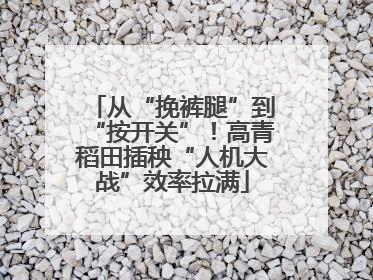 从“挽裤腿”到“按开关”！高青稻田插秧“人机大战”效率拉满
