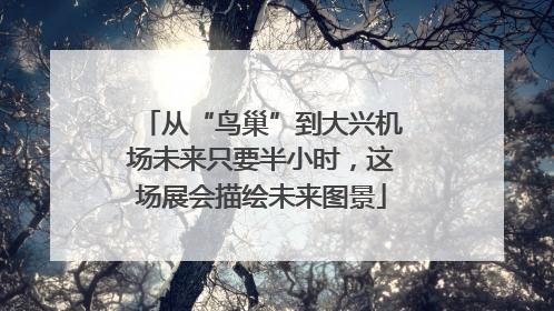 从“鸟巢”到大兴机场未来只要半小时，这场展会描绘未来图景