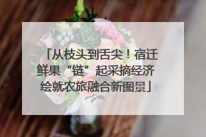 从枝头到舌尖！宿迁鲜果“链”起采摘经济绘就农旅融合新图景