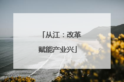 从江：改革赋能产业兴